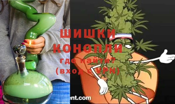 хмурый Вяземский